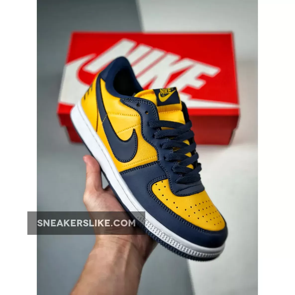 Nike Terminator Low Michigan Nike Com Sale FJ4206-700